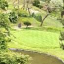 그린힐 실내골프연습장 이미지