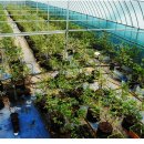 변산농장 이미지