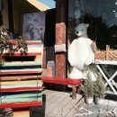 [일상/리뷰] 긍정인형만들기(웃어요_빅토끼) : 전주 사과나무테디하우스