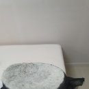 상동중앙로 이미지