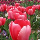 국토행정사사무소 이미지