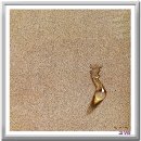 [미술]물방울그림의 대가 / 김창렬 화백 이미지