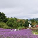 관동목장 이미지