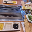 지중해자연산민물장어 이미지