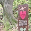 아랑지 | 밀양 영남루에 가면 같이 둘러보면 좋은 추천 코스