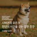 강남동물의료센터 이미지