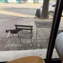 옥산목장 이미지