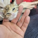 아지트 당구클럽 이미지