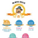 개린이세상 이미지