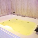 코나펜션 이미지