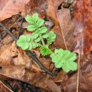 선학초등학교 이미지