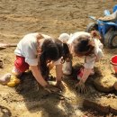 도구로3길 24 | 대구근교 당일 캠프닉 성주 아이랑 가 볼만 한 곳 솔가람피크닉