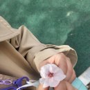 삼락강변공원 이미지