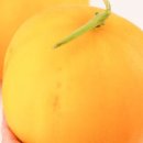 양구밥상 이미지