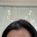 이너헤어 | 손수헤어 진디자이너 퍼스널염색 후기