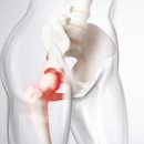 제기동정형외과의원 이미지