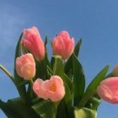 삼산로 352번길 이미지