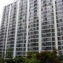 광복절 대전 선비마을 아파트 이미지