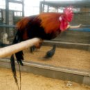 문영식 농장 이미지