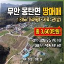 저렴한 무안 몽탄면 땅매매(매물번호 2972) 이미지