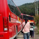 솔밭초교 병설유치원 이미지