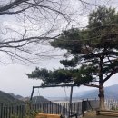 구례마루 티스토리