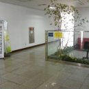 용인실내체육관 이미지