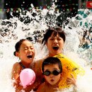 영상 컬럼─:★: 06/08/14 - 오늘의 포토뉴스 이미지