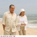 부부 티스토리