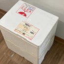 우리들한의원 | 대추밭 백한의원 후기 (시험관 1차 실패, 그리고 임신 성공)