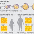 발안우리들의원 이미지