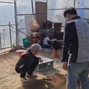 꽃순이농장 이미지