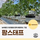 씨유남이석판로점 | 농부들의 어려움을 함께 해결하는 기업 '팜스태프' (고대신문 홍예원 기자)