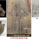 금관종합정비 이미지