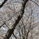 우리나현유치원 이미지