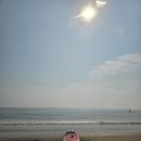 태안 서핑 만리포 패들보드 후기 만리포마린서핑에서
