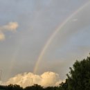 포동자동차공업사 이미지