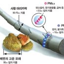 ﻿보건용 마스크 허가 이해하기 -부산행정사-﻿ 이미지