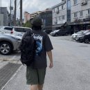 장보는 강아지와 고양이 | 새끼고양이 사료 추천 '장보는 강아지와 고양이' 내돈내산 쇼핑 후기(왜 가격표랑 영수증 금액이랑...
