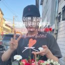 에이스농장 이미지