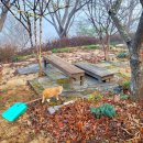 좌천동물병원 이미지