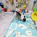 강아지의 하루 이미지