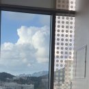 유스동물병원 | 8월내내 한거 뭐 있냐고요 없습니다 아니 있네 있어 한게 있긴 하네