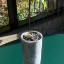 카페 그루미 이미지