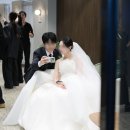 더돈하우스 | 부산 센텀사이언스파크 웨딩홀 더하우스홀 본식 후기/세븐스헤븐 스냅/결혼식 준비물/닭던지기 이벤트