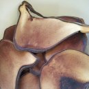 한뜸한의원 이미지