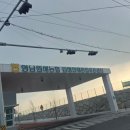 우리소비자유통(문옥희) | 2만3천원에 우리집 꽃집 만든날: 김해 화훼유통센터 예약 픽업 후기