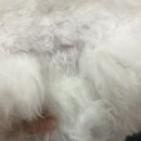 장미미장원 네이버블로그