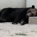 달성공원관리사무소 이미지