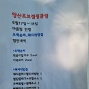 오떡순씨 이미지